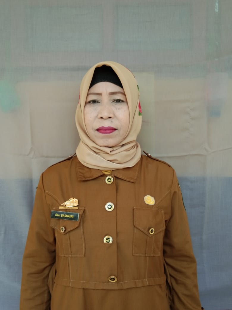 Dra. BASNAINI